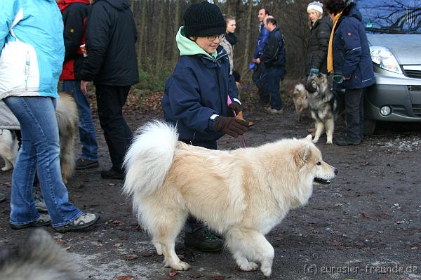 (Foto Goslar) Sulzbachtal 01.12.2012__38.JPG